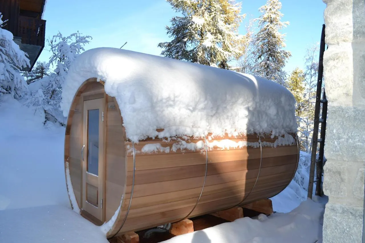 Fabulous Chalet La Plagne - Ski In-Ski Out - Sauna With Mont Blanc View 0*, La Plagne-Tarentaise France