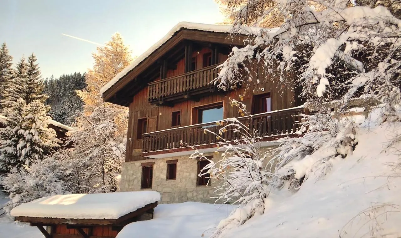 Fabulous Chalet La Plagne - Ski In-Ski Out - Sauna With Mont Blanc View