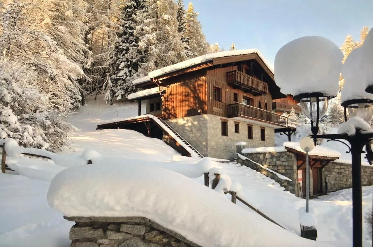 Fabulous Chalet La Plagne - Ski In-Ski Out - Sauna With Mont Blanc View France