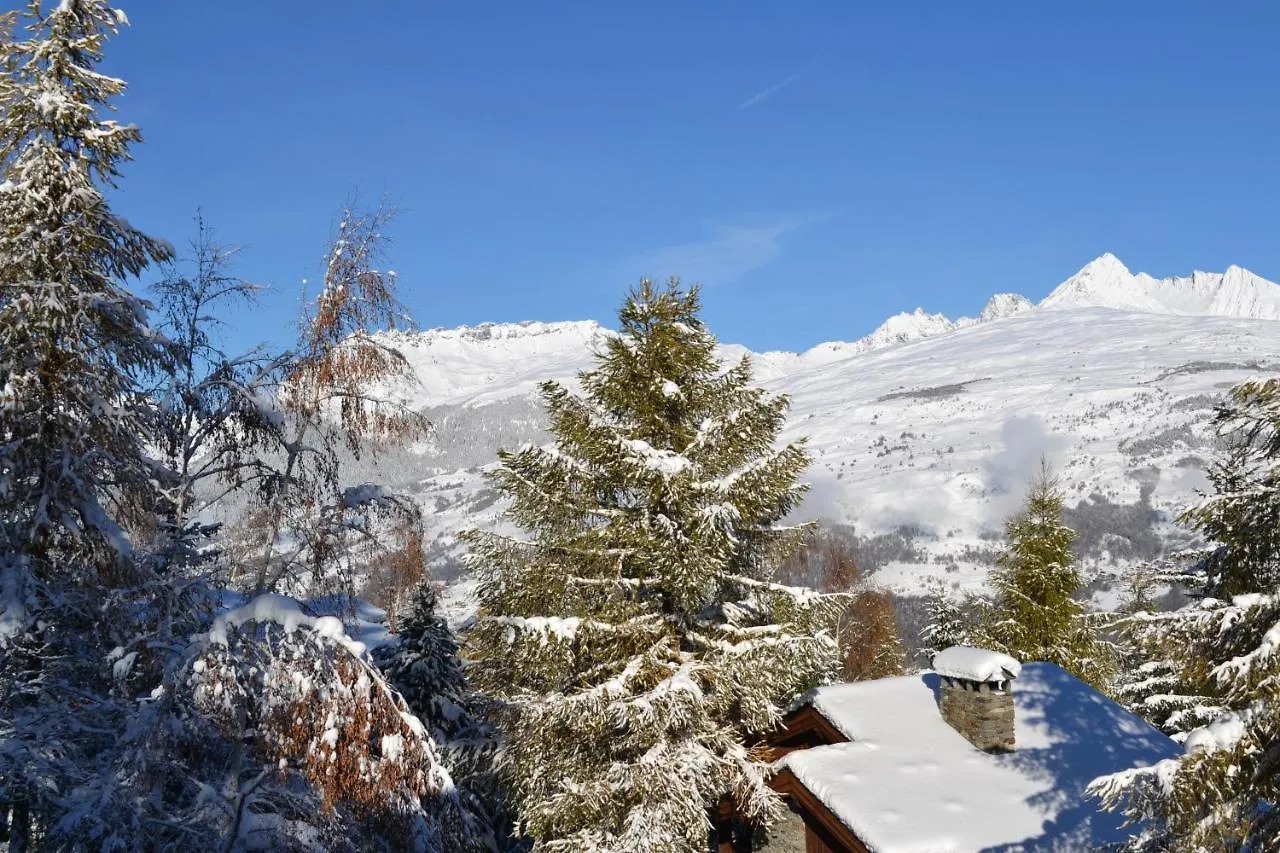 Fabulous Chalet La Plagne - Ski In-Ski Out - Sauna With Mont Blanc View 0*, La Plagne-Tarentaise